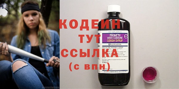 дмт Вяземский