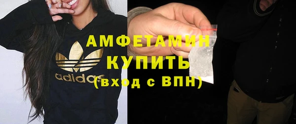 дмт Вяземский