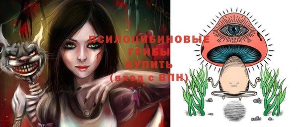 дмт Вяземский