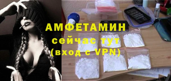 дмт Вяземский