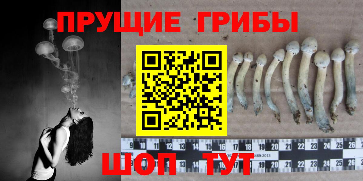 Псилоцибиновые грибы мицелий  Владивосток 