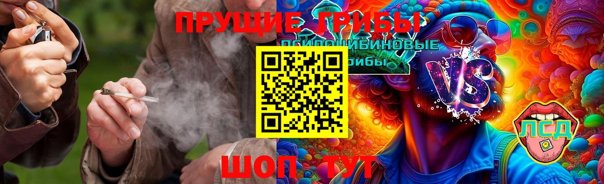 Галлюциногенные грибы Magic Shrooms Владивосток