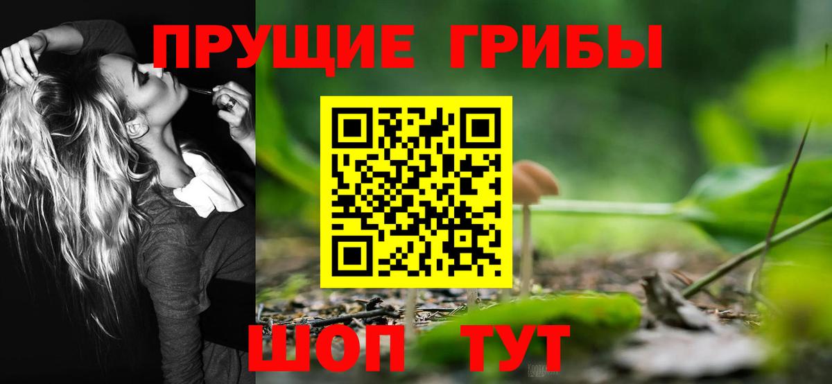 Псилоцибиновые грибы Cubensis  Вход с VPN  Галлюциногенные грибы GOLDEN TEACHER  Владивосток 